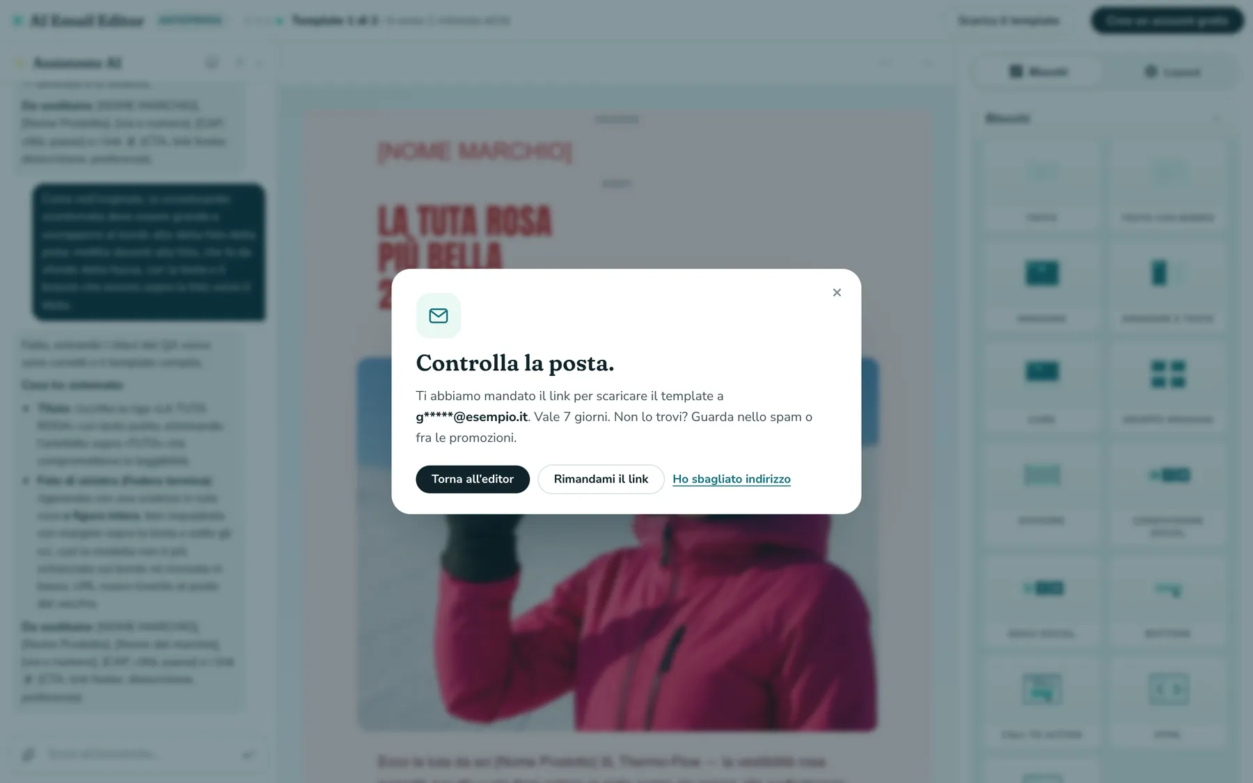 La finestra «Controlla la posta»: il link per scaricare il template è stato mandato all’indirizzo indicato e vale 7 giorni